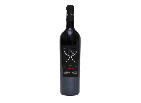 Aglianico Wine Irpinia DOCG from Cantina Riccio - Cantina Riccio - Red Wines