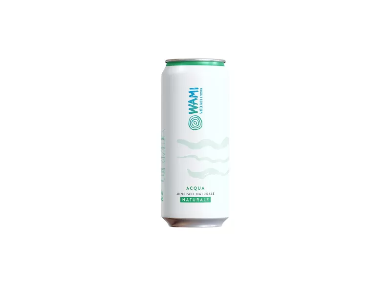 Water in Recyclable Cans - 24pcs by Wami | StoreItaly.org