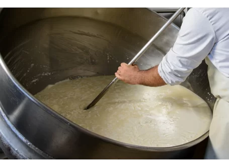 Pecorino Bagnolese - Semi-aged cheese - Azienda Agricola di Buccino Pasquale - Fresh and Aged Cheeses