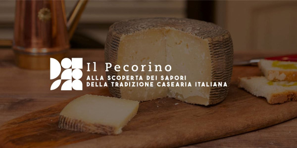 Pecorino: Discovering the Flavors of Italian Cheese Tradition