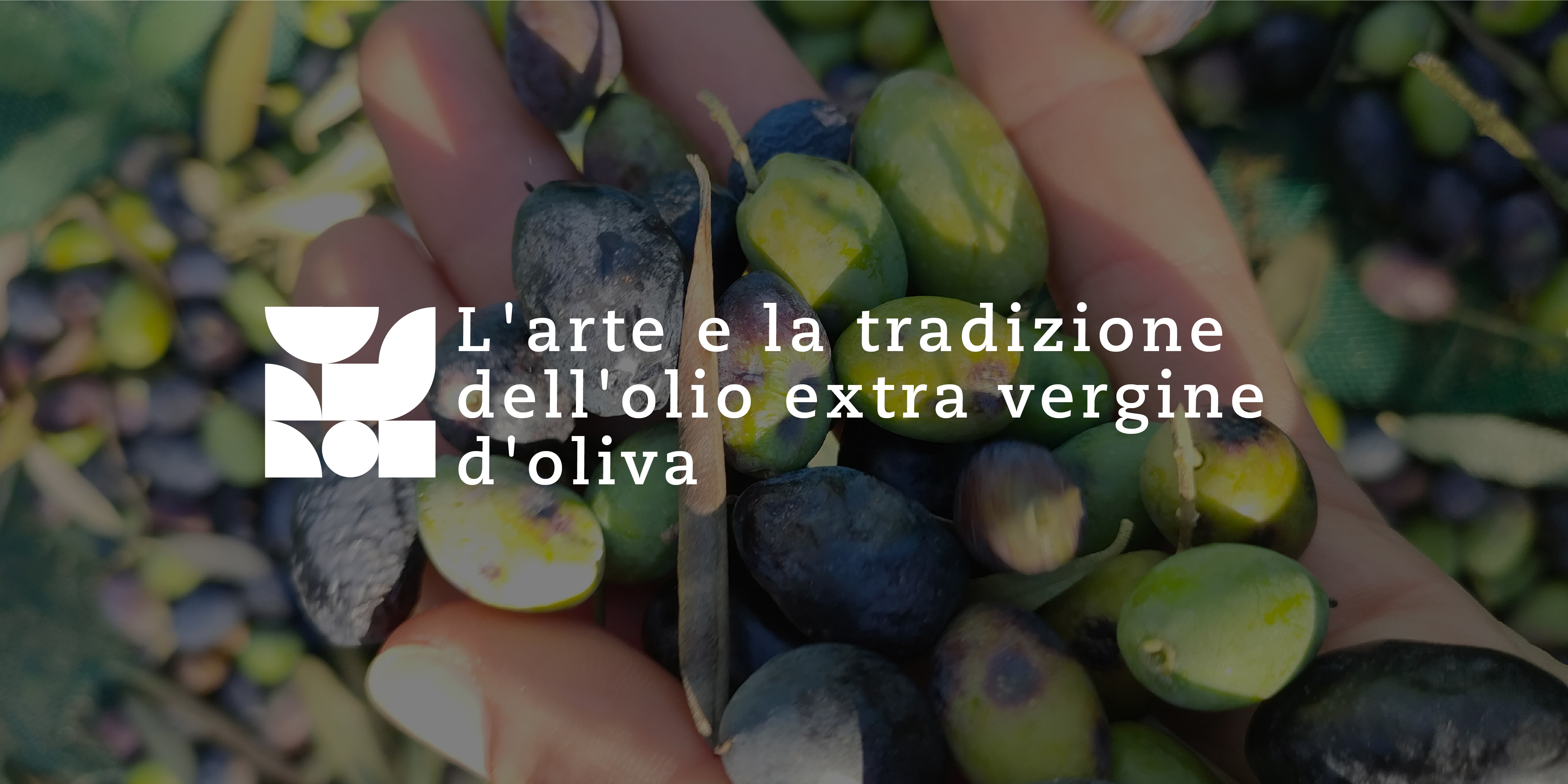 The Art and Tradition of Extra Virgin Olive Oil