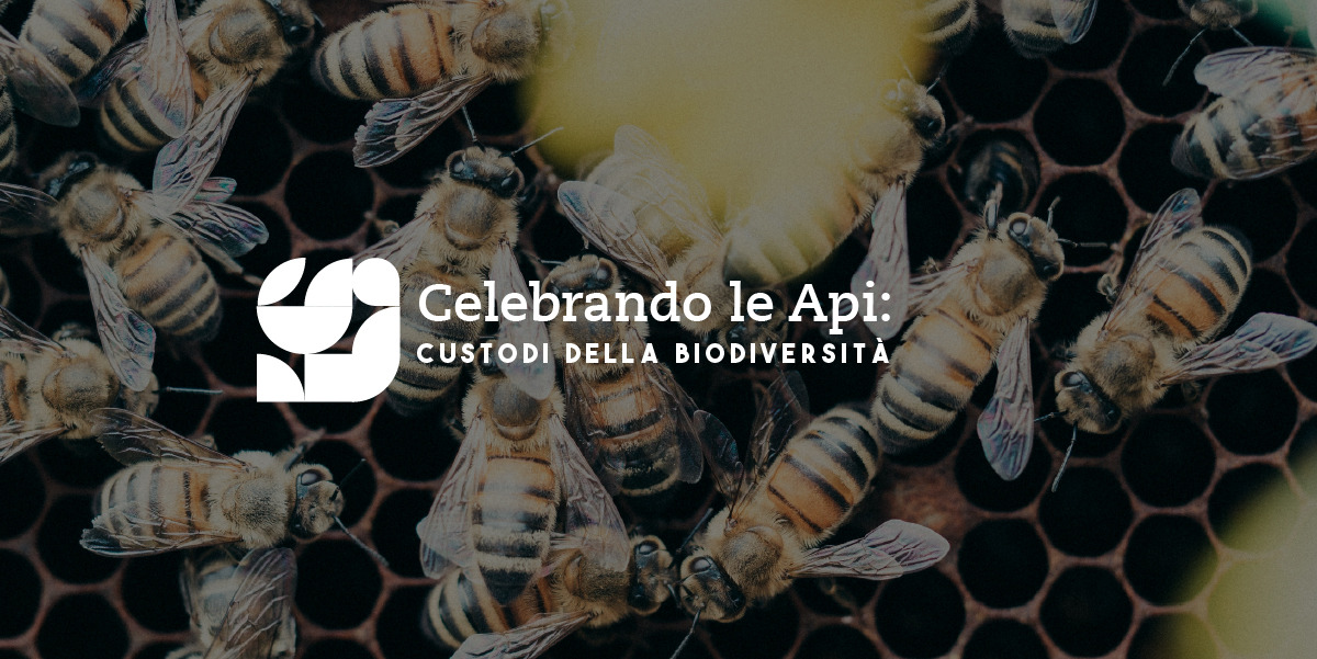 World Bee Day: Guardians of Biodiversity