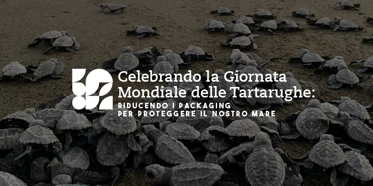 World Turtle Day: Reducing Packaging and Concrete Actions for Conservation